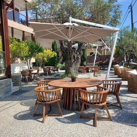 Ayia Marina Suites Ouranoupoli Ngoại thất bức ảnh